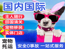 昌北航空物流国际宠物托运 【国